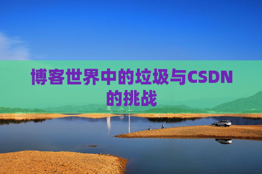 博客世界中的垃圾与CSDN的挑战